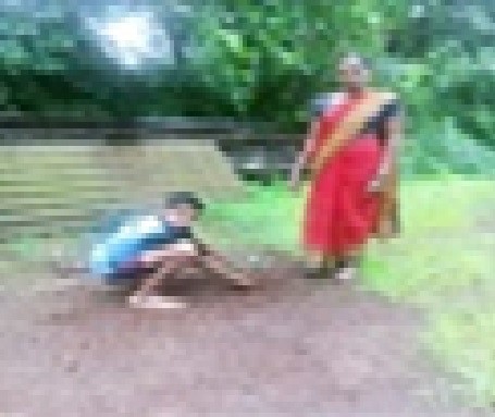 संगमेश्वरमधील कळंबुशी येथे 'झाड लावा, झाड जगवा' चा नारा